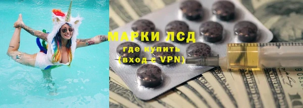 мяу мяу мука Абаза